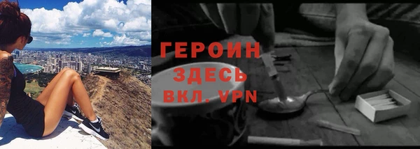 дурь Гусев