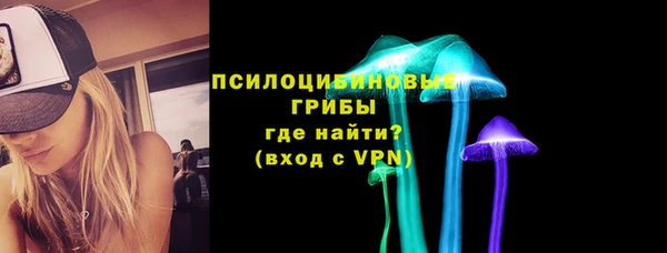 герыч Гусь-Хрустальный