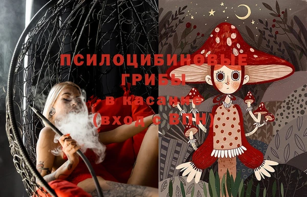 дурь Гусев