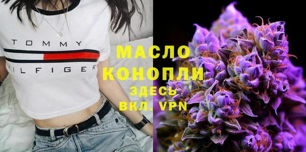 дурь Гусев