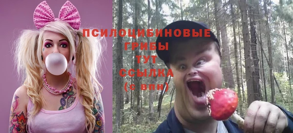 герыч Гусь-Хрустальный