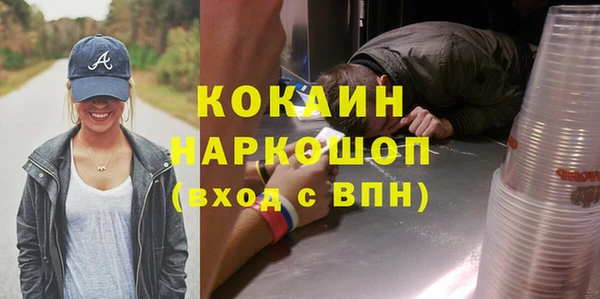 дурь Гусев