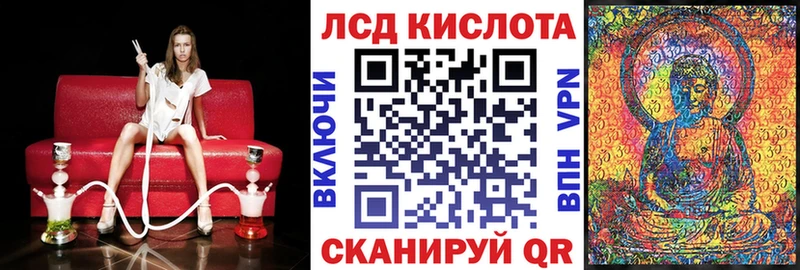 купить наркоту  MEGA как зайти  Марки 25I-NBOMe 1,5мг  Елизово 
