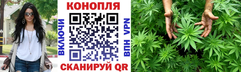 кракен рабочий сайт  Елизово  Каннабис конопля 